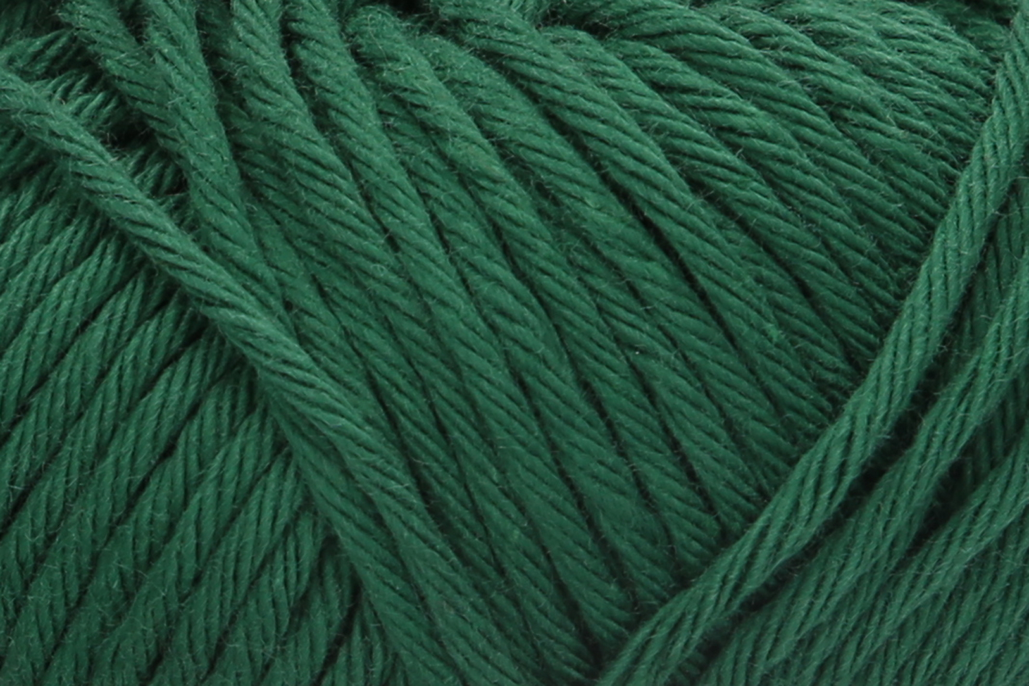 col. 00070 pine green
