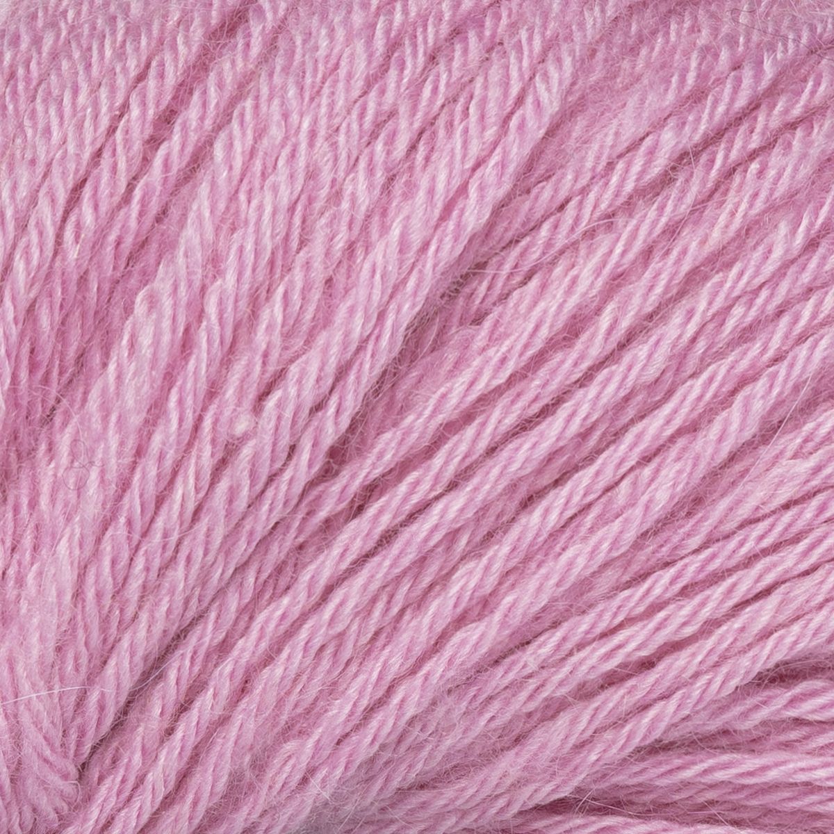 col. 5241 Blütenknospe