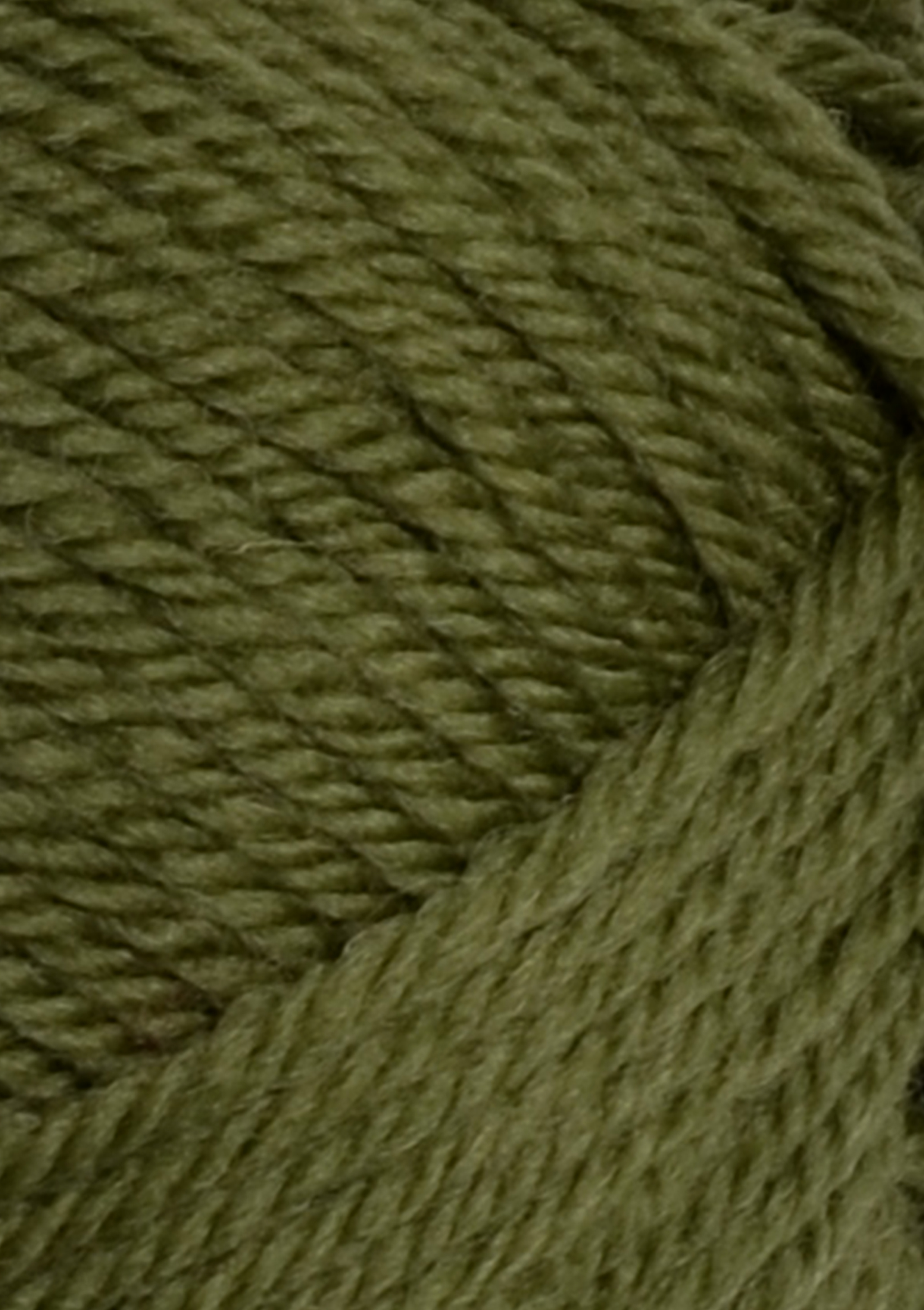 col. 9553 olive