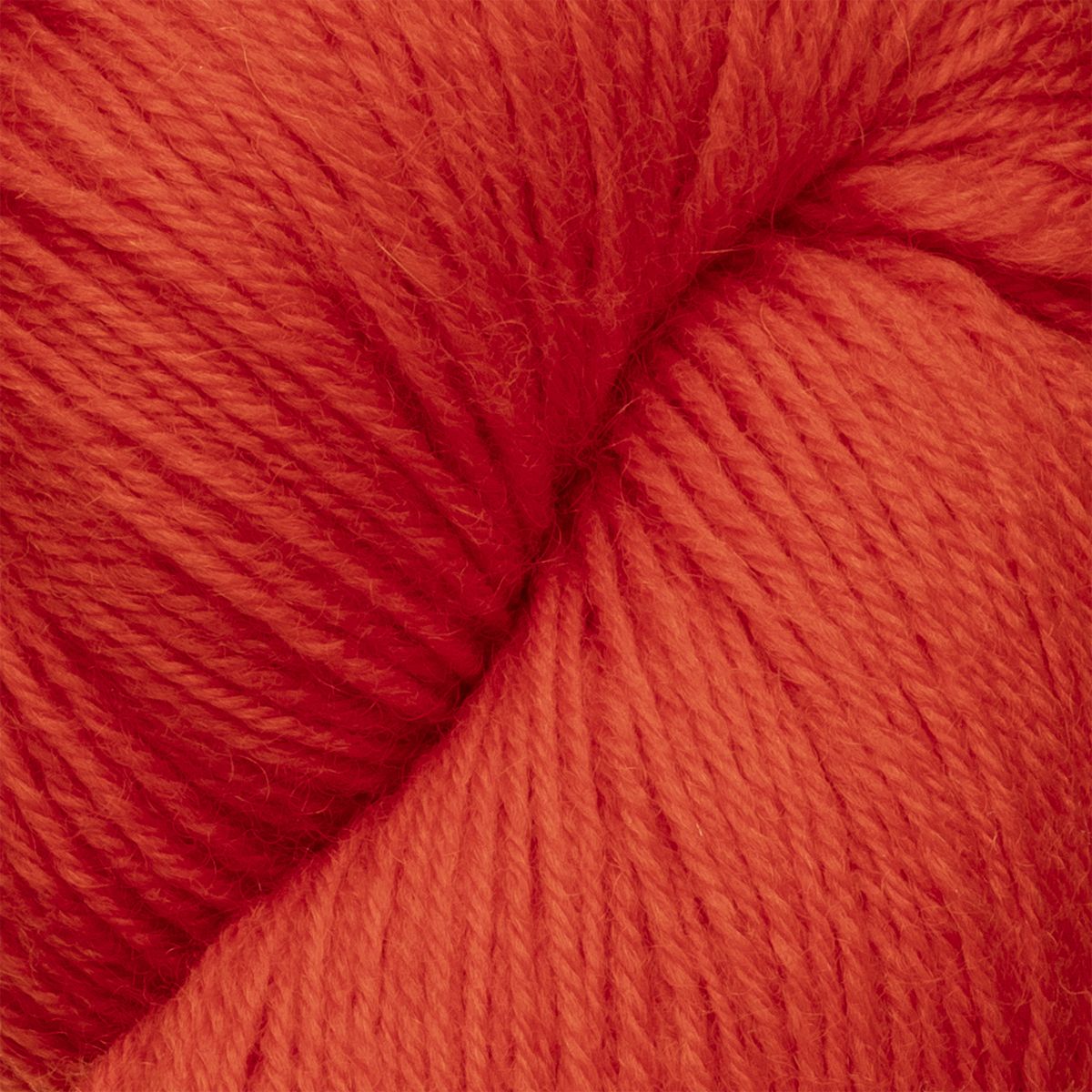 col. 5441 Sunset Poppy