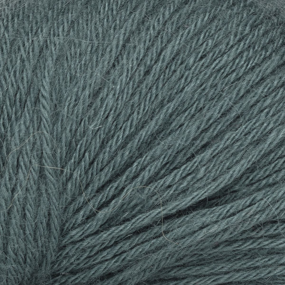 Helene col. 3661 Teich ca. 200 m 50g