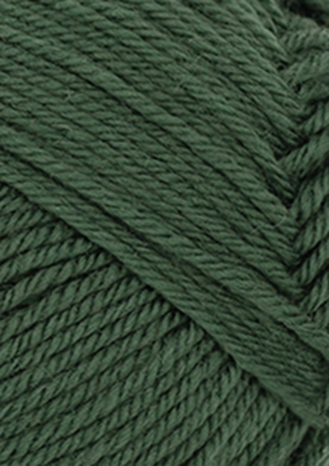 col. 8082 forest green