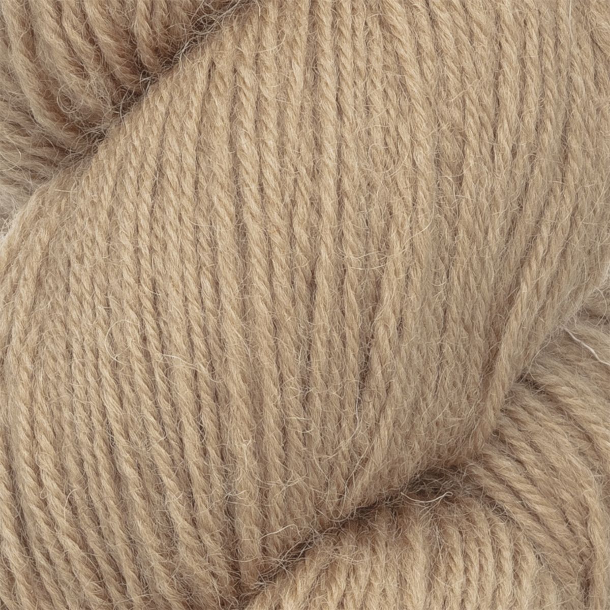 col. 6141 Sandy Shoreline