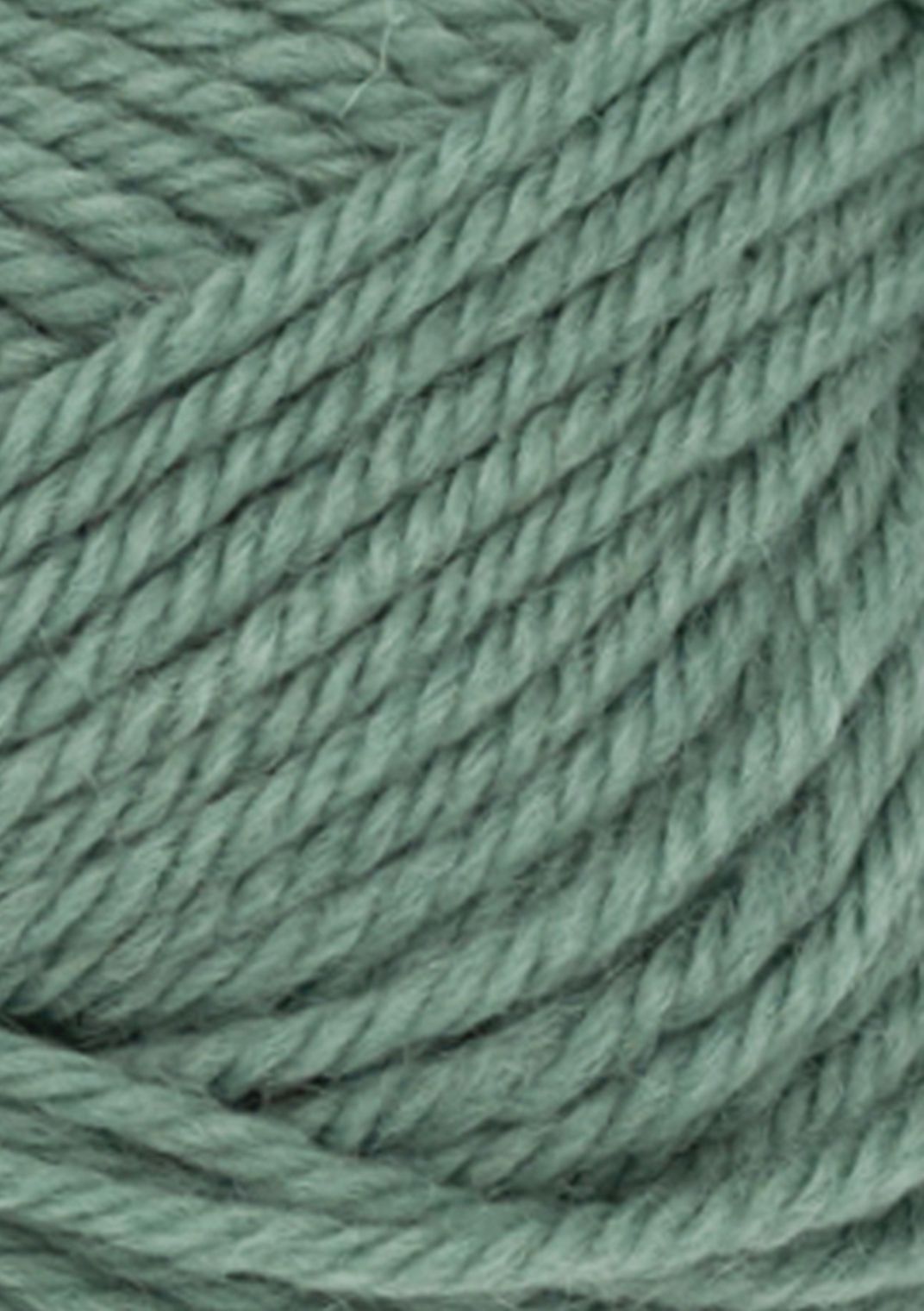 col. 8051 eucalyptus