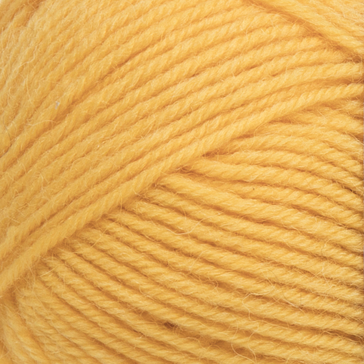 col. 268 Sonnenblume