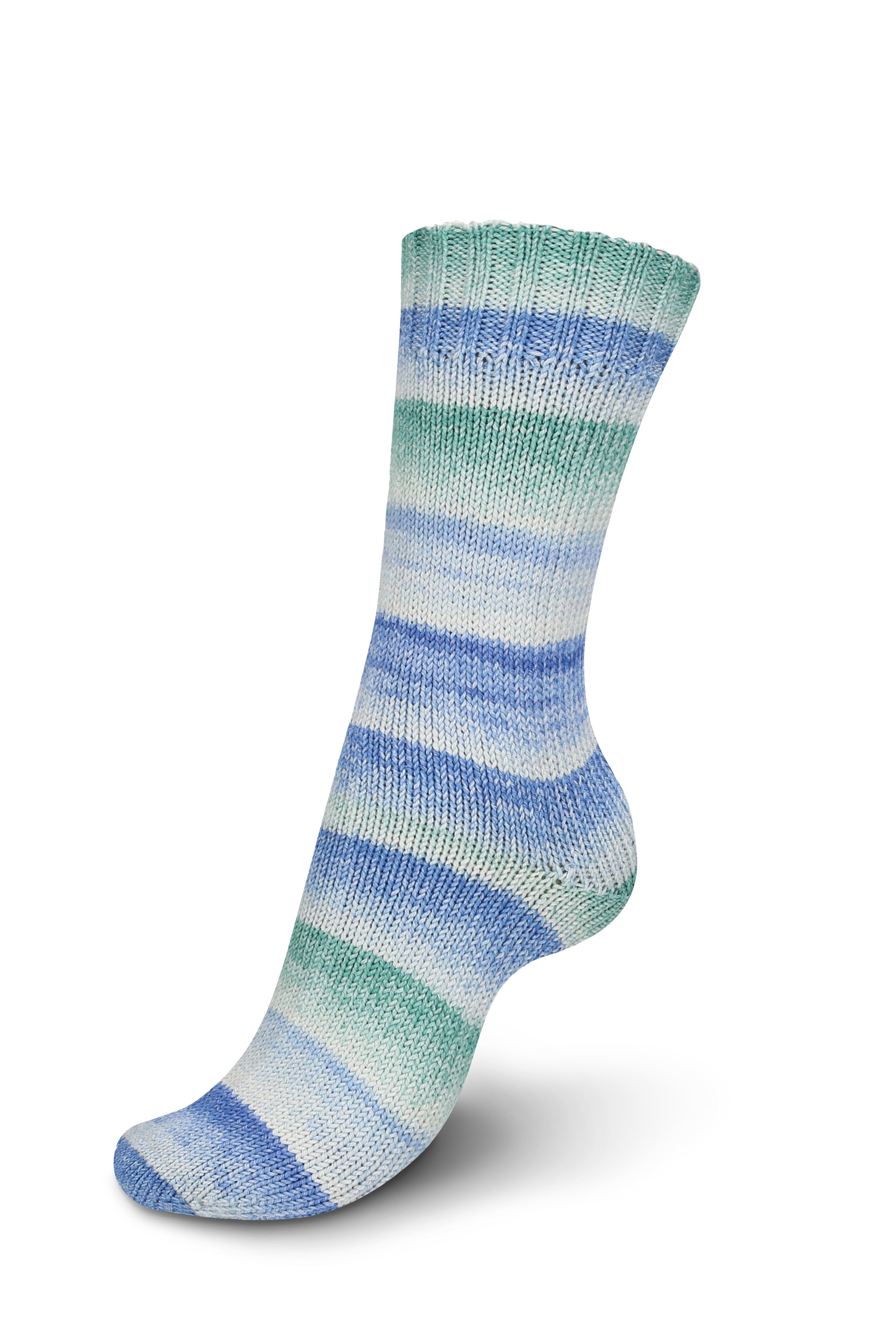 02484 larkspur color