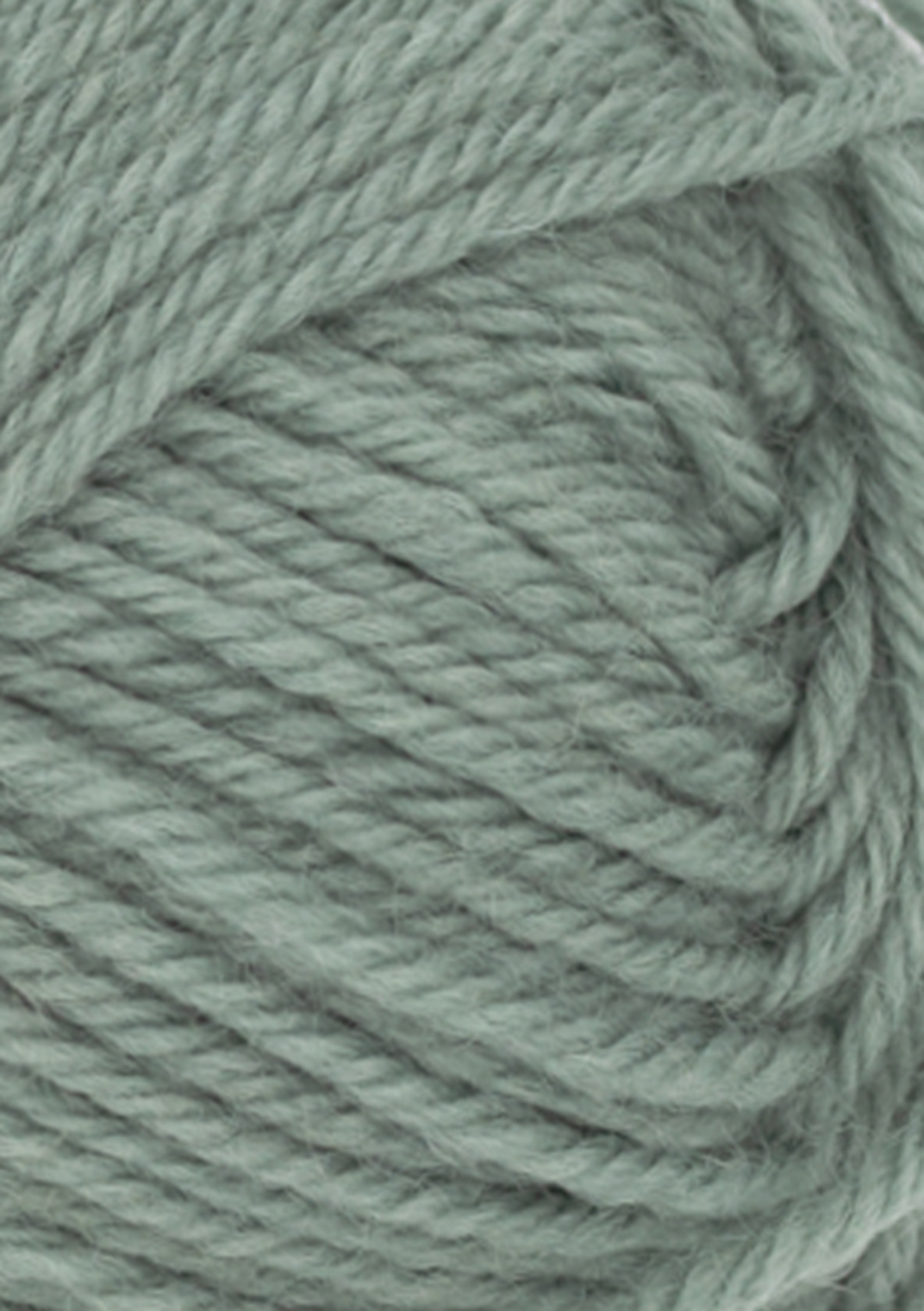 col. 8051 eucalyptus