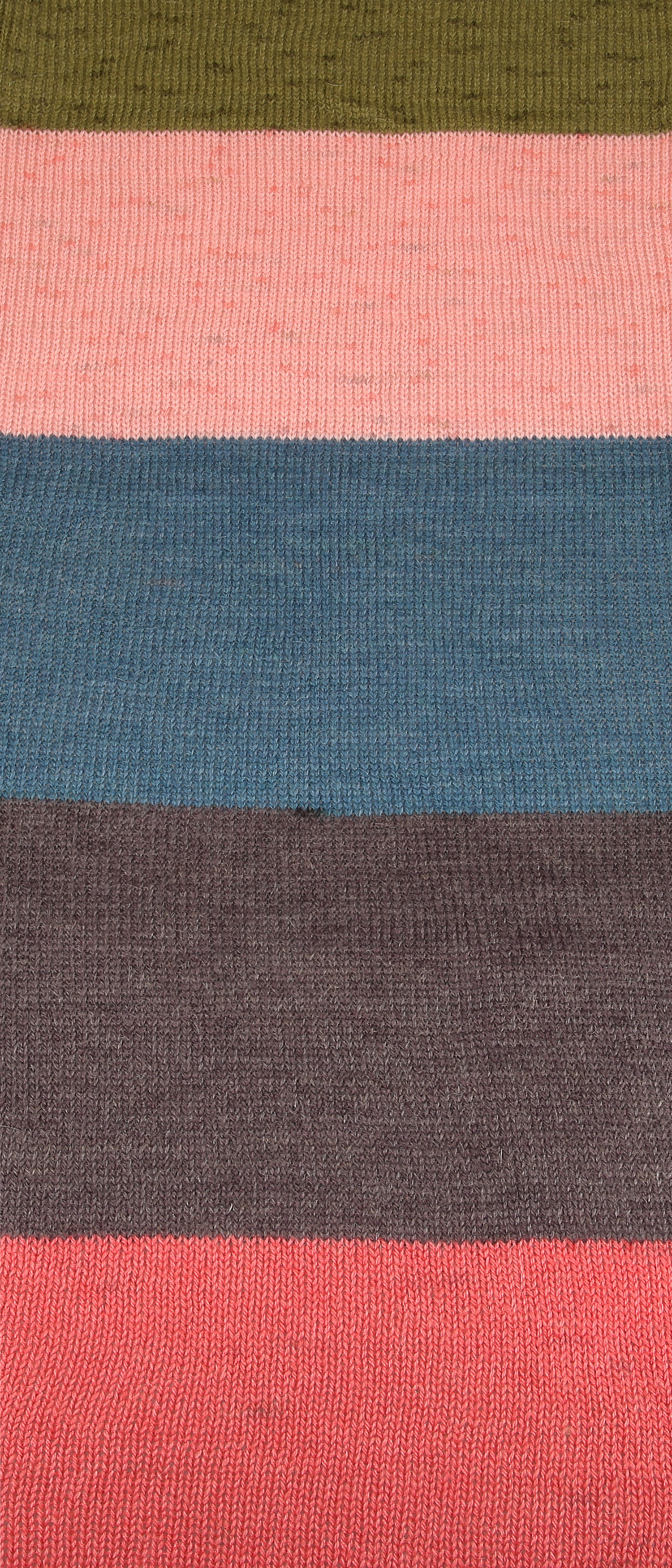 00089 butterfly color