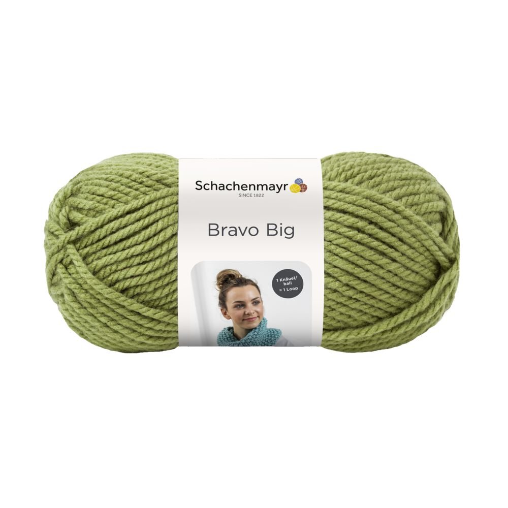 Schachenmayr Bravo Big 200g