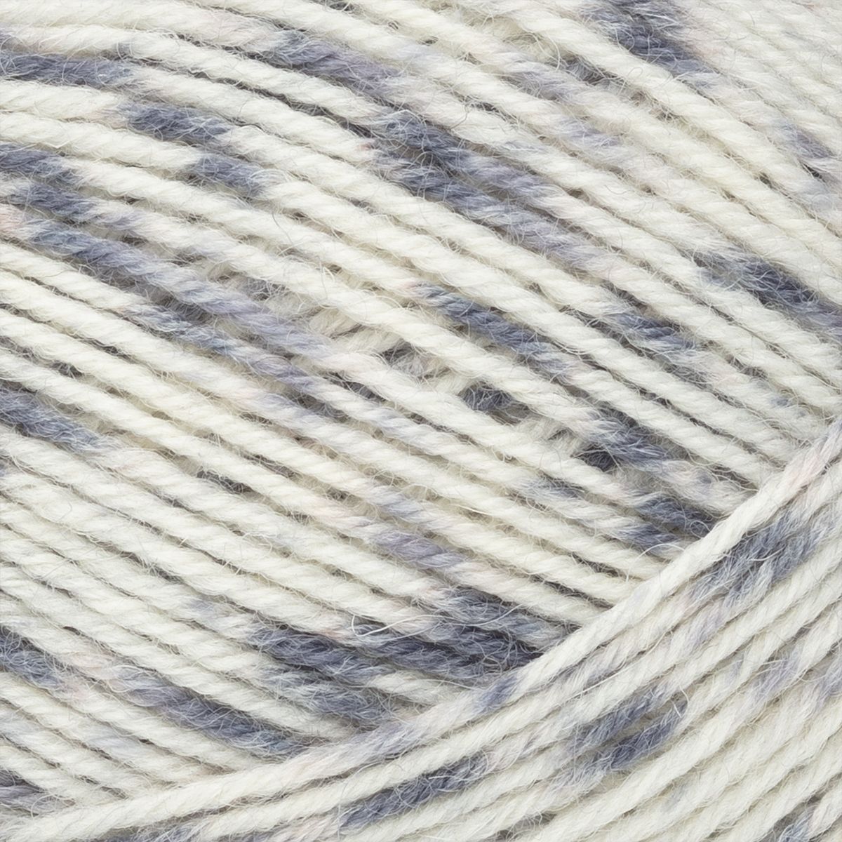 col. 8321 Birkenwald