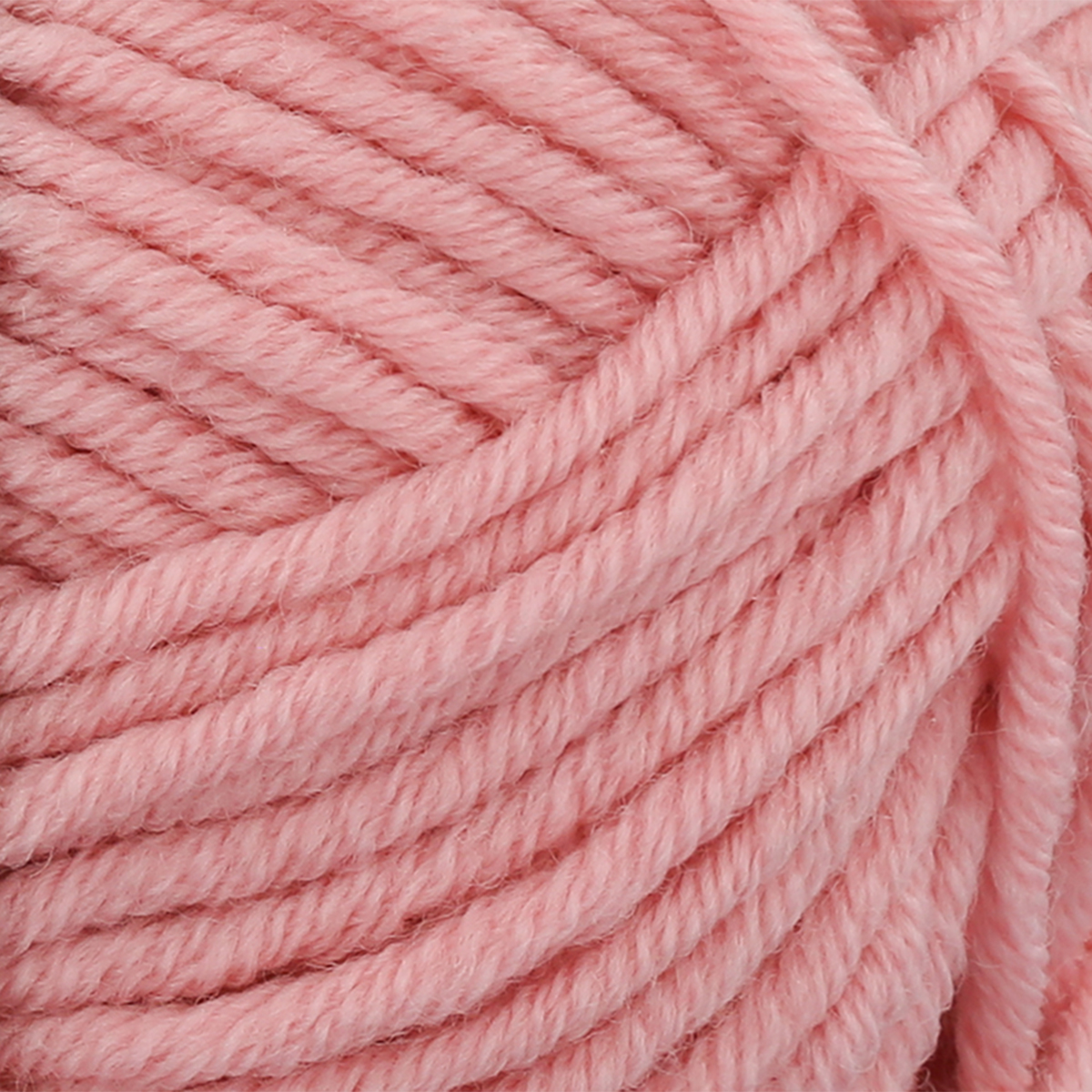 col. 505 Seidenpflanze