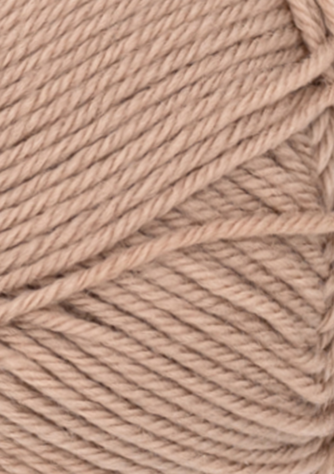 col. 3041 lys eikenøtt