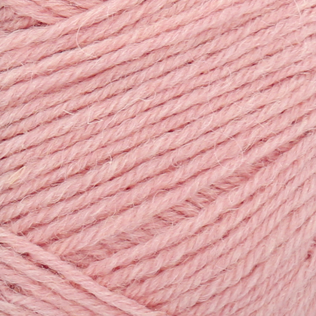 col. 505 Seidenpflanze