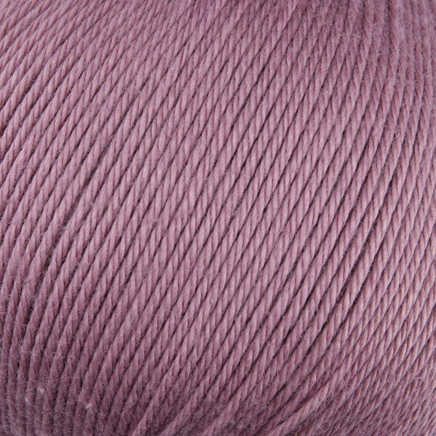 00033 nostalgie rose