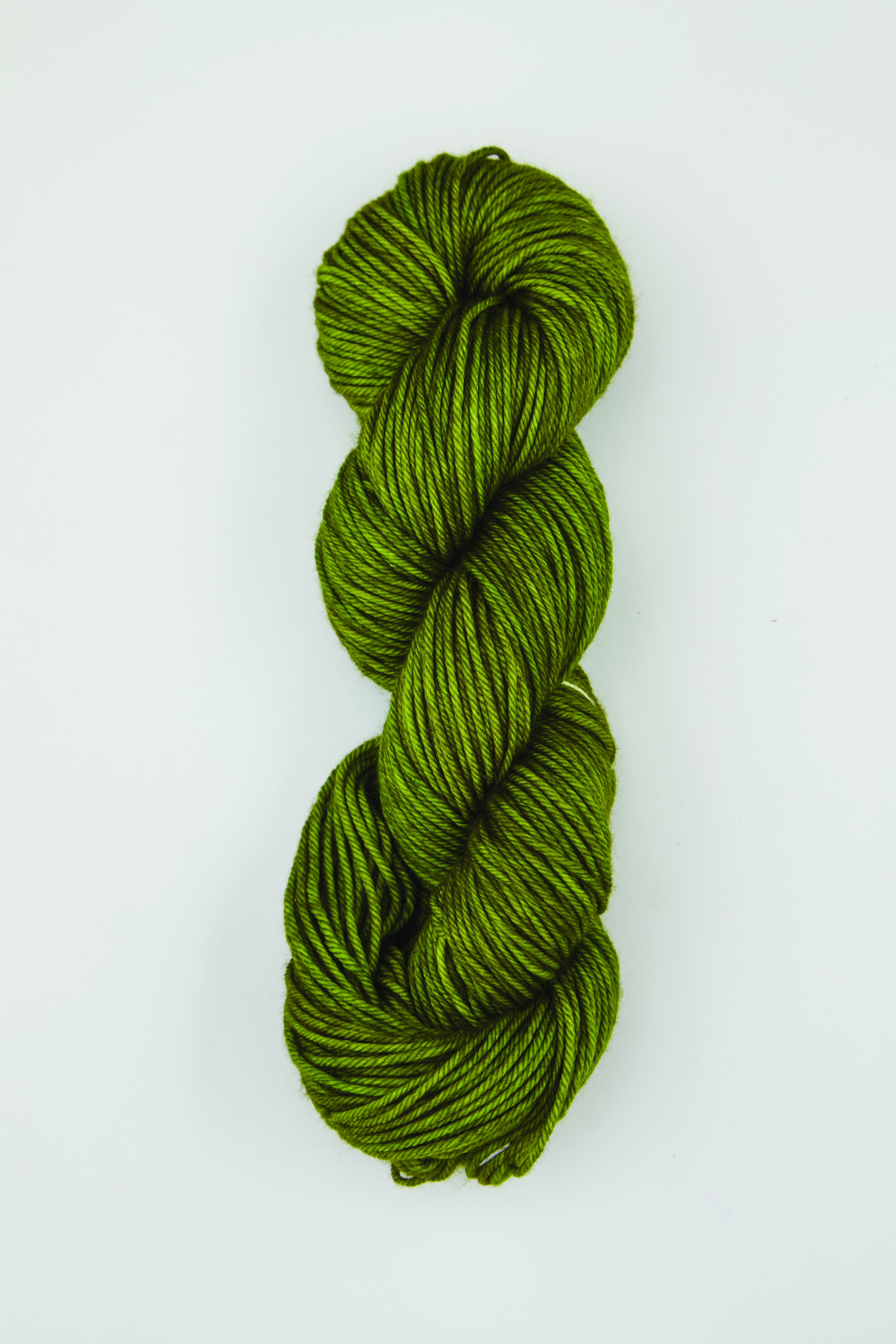 col. 4021 Rain Forest