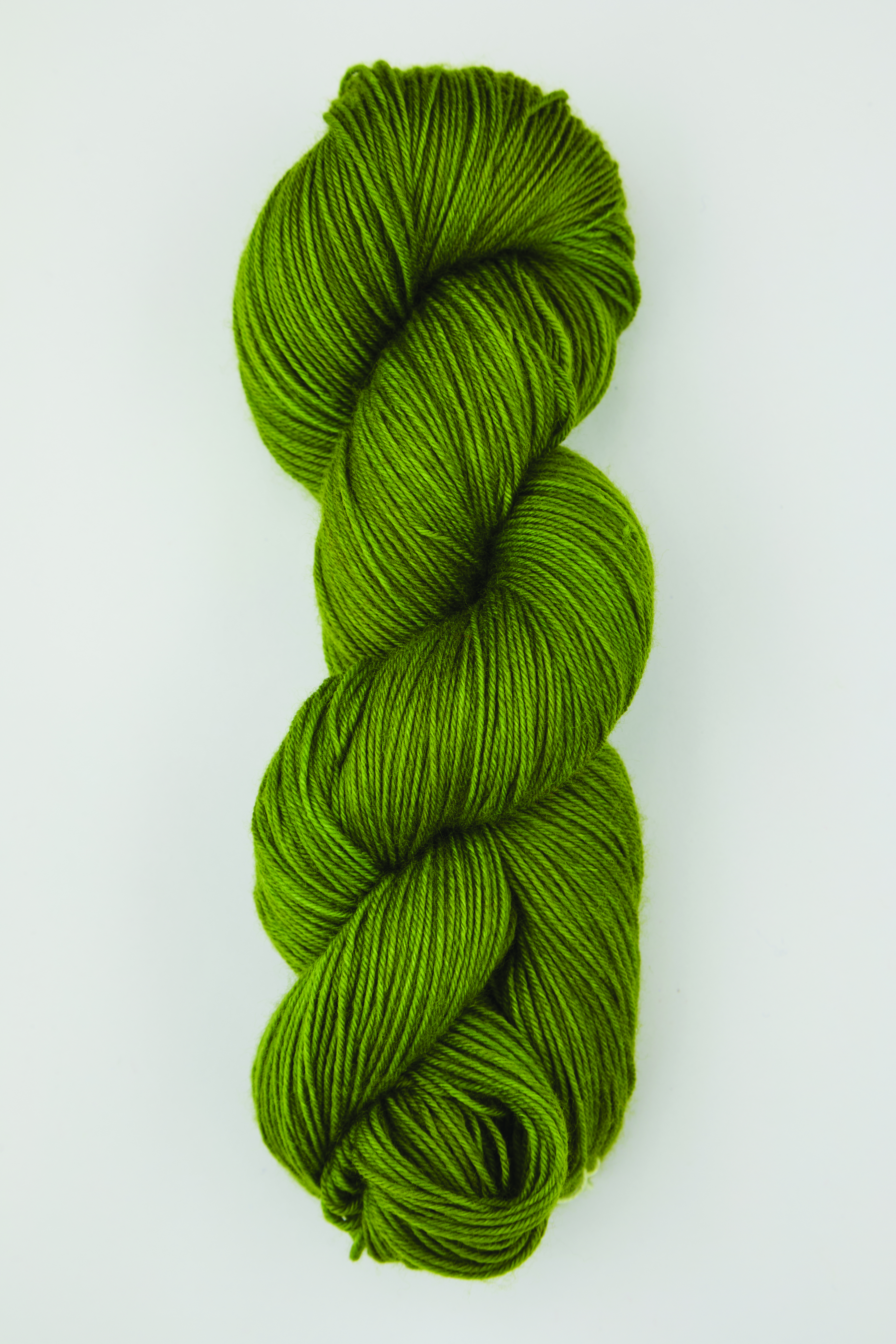 col. 2021 Rain Forest