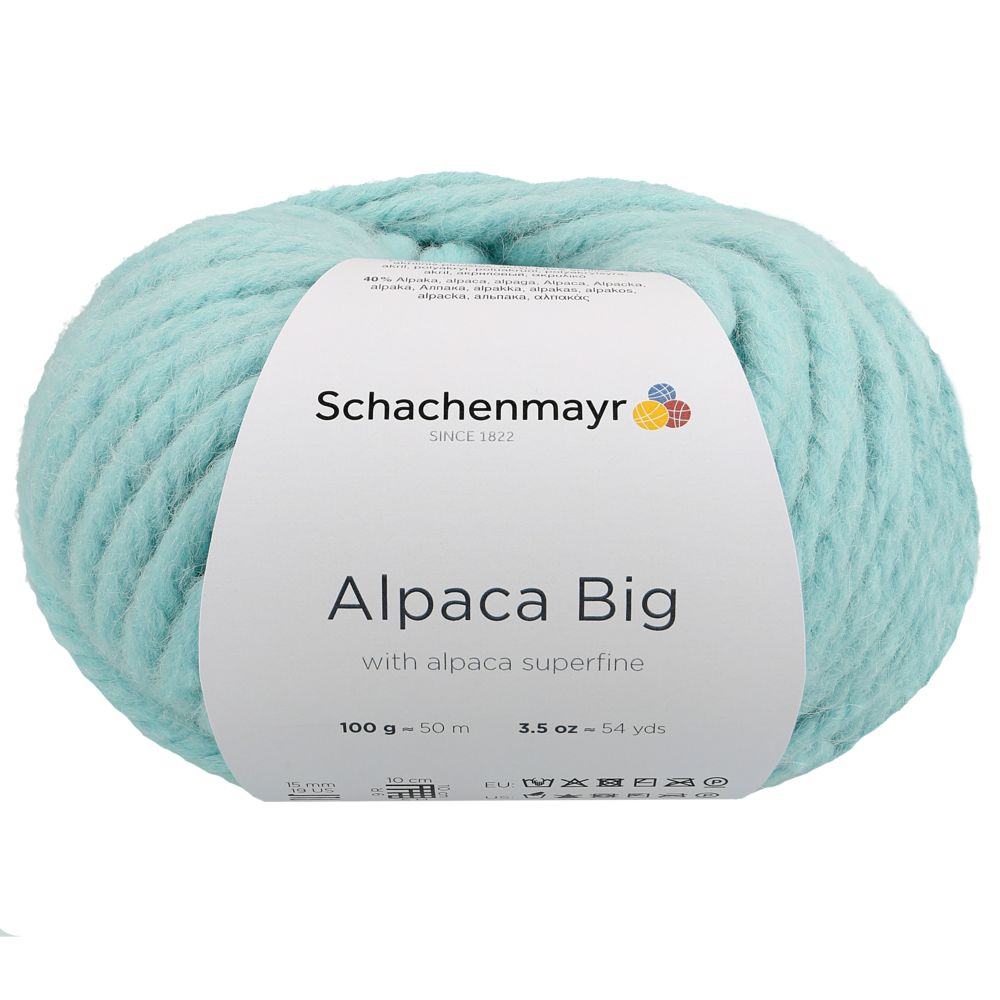 Schachenmayr Alpaca Big 100g 00065 mint
