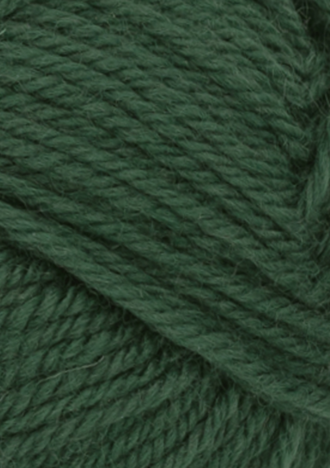 col. 8082 forest green